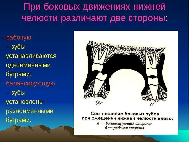 Движение нижней челюсти. Боковые движения челюсти. Биомеханика движений нижней челюсти. Движения нижней челюсти. Латеральное движение нижней челюсти.