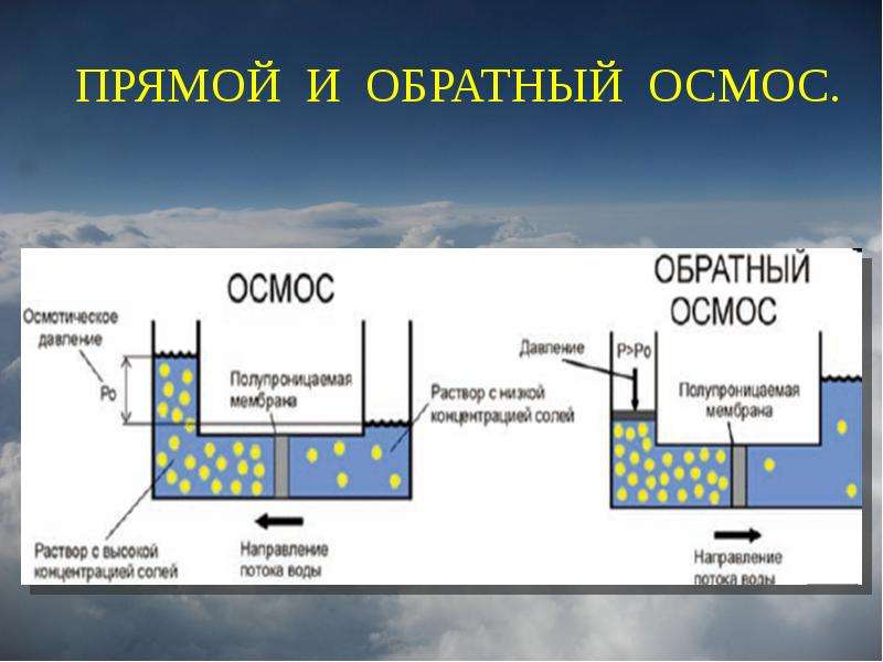 Презентация на тему осмос