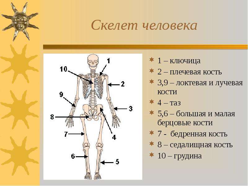 Человек человека 4 класс презентация