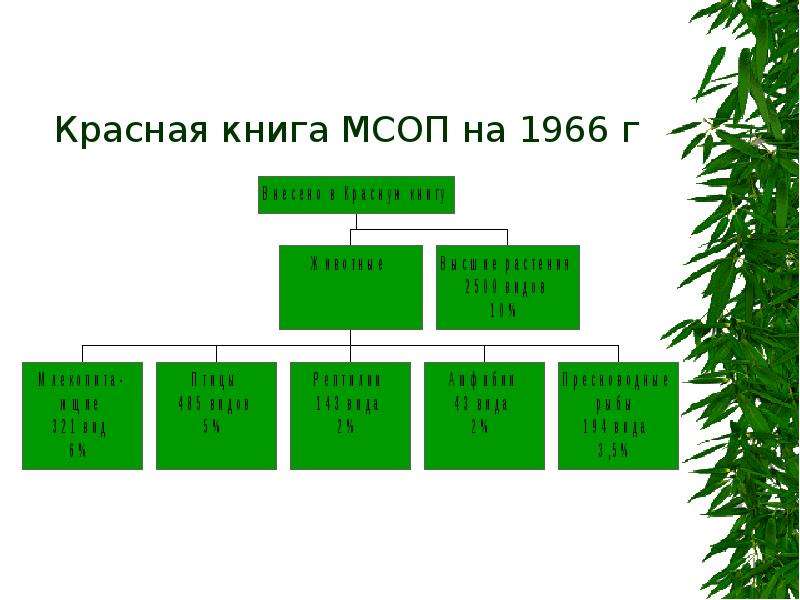 Союз охраны природы. Структура управления охраны живой природы.