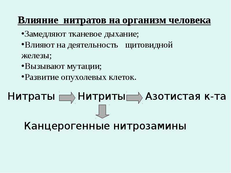 Влияние нитратов на организм человека презентация