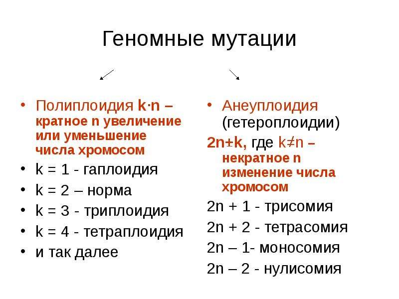 Геномные мутации проект