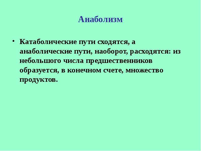 Катаболические пути. Катаболических путях. К катаболическим путям относятся.