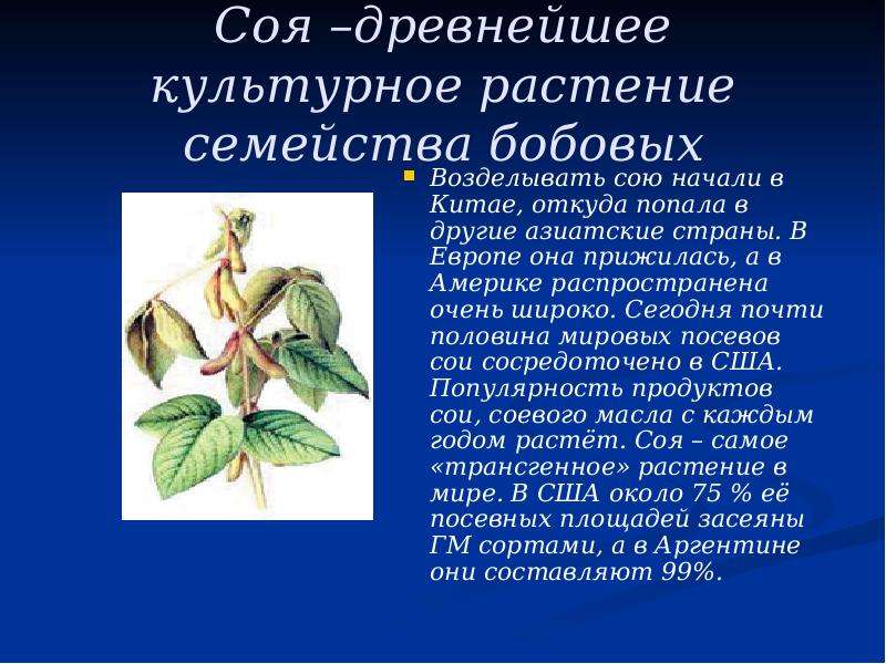 Приведи пример культурного растения пришедшего из дальних. Древнейшее культурное растение. Самые древние культурные растения. Культурные растения из других стран. Культурное растение пришедшее к нам из дальних стран.