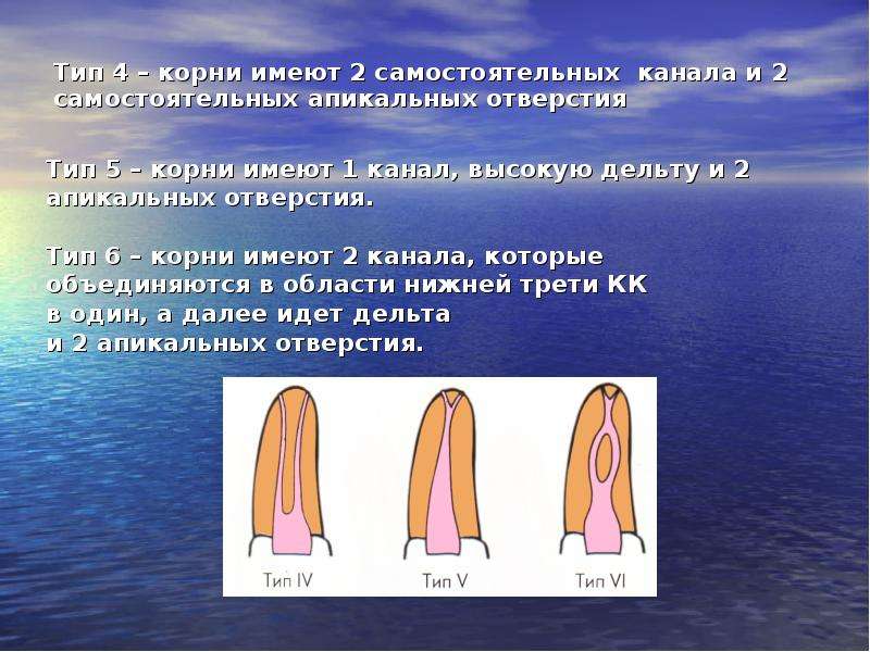 Эндодонтия раздел стоматологии, изучающий строение и функции эндодонта, методику и технику манипуляций в полости зуба и корневом, слайд 6