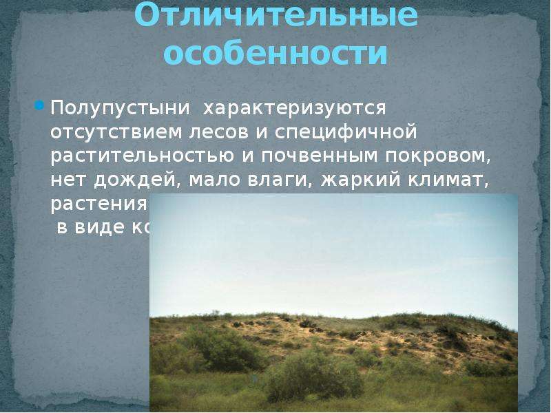 Особенности почв полупустынь