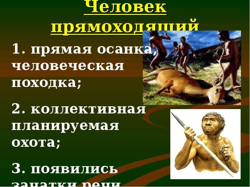 Появление человека разумного 5 класс история. Человек прямоходящий образ жизни. Человек прямоходящий презентация. Появление человека разумного. Человек прямоходящий орудия труда.