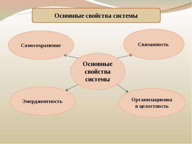 Общее свойство систем