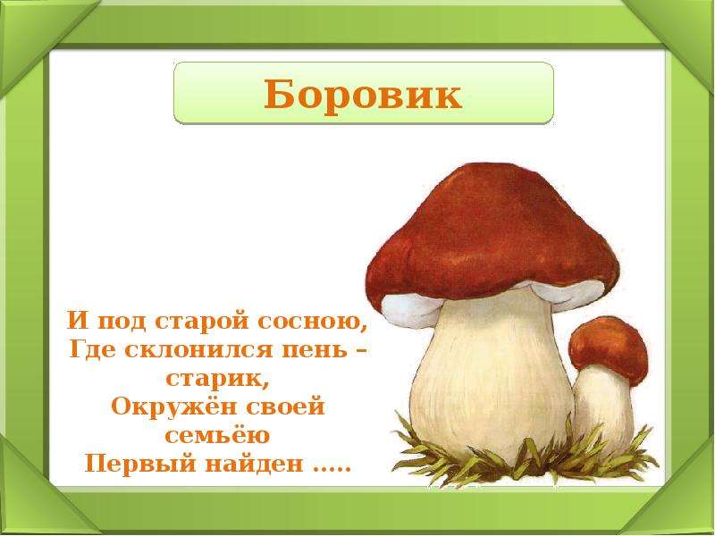 Грибы 1 класс. Царство грибов для дошкольников. Презентация грибы 1 класс. Грибы 1 класс презентация для начальной школы. Грибы тема на в школе.