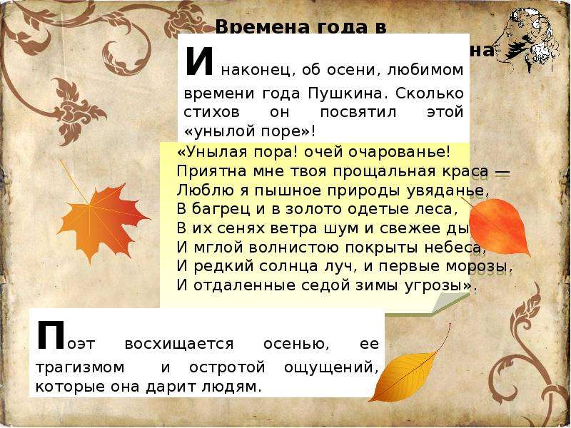 Мое любимое время года сочинение 4 класс. Времена года в творчестве Пушкина. Пушкин отношение к осени. Стихотворение про любимое время года. Стихотворение Пушкина про осень.