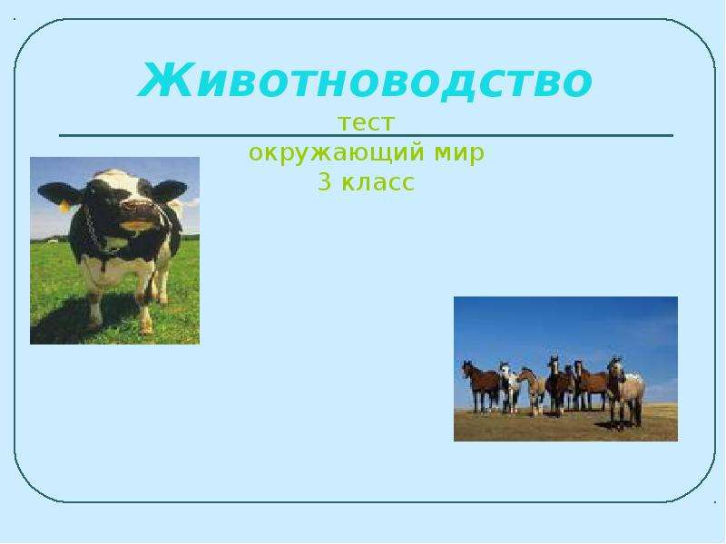 Животноводство презентация 3 класс окружающий мир плешаков школа россии