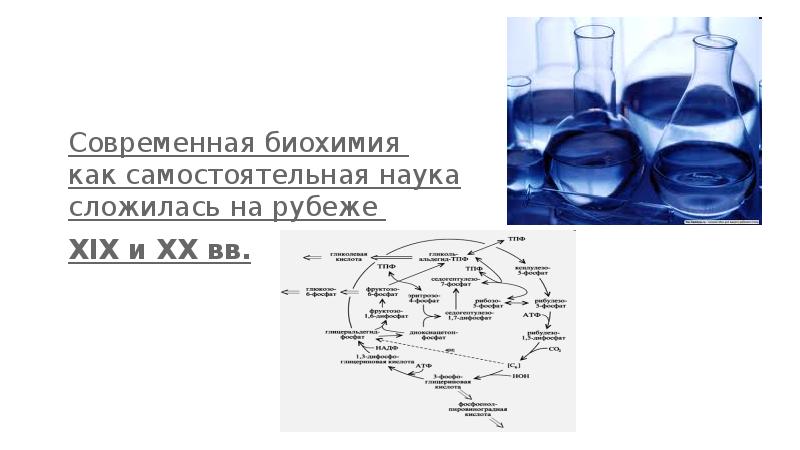 Развития биохимии. Современная биохимия. Биохимия это в биологии. Введение в биологическую химию. Биохимия как наука.
