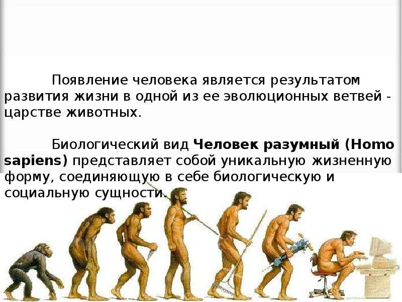 Homo означает. Появление человека разумного. Когда появился человек разумный. Человек разумный как биологический вид. Появление человека разумного год.