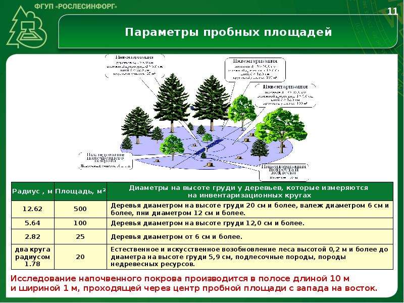 Приоритетные инвестиционные проекты в области освоения лесов