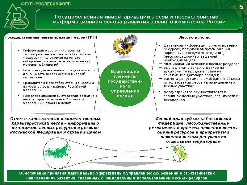 Основные пути совершенствования лесного хозяйства россии