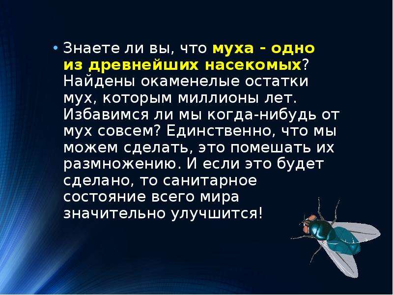 Сколько скорость мухи. Интересные факты о насекомых. Интересный рассказ о насекомых. Интересные насекомые для детей. Интересные факты о мухах.