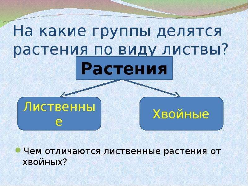 Три группы растений. Культурные растения делятся на группы. Растения делятся на три группы. Группы на которые делятся растения. Растения делятся на группы 3 класс окружающий мир.