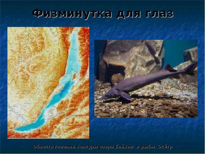 Знаешь ли ты обитателей байкала вырежи рисунки