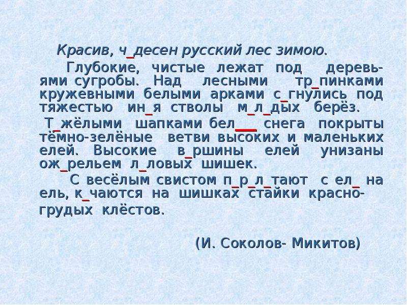 


       Красив, ч_десен русский лес зимою. 
       Красив, ч_десен русский лес зимою. 
       Глубокие,  чистые  лежат  под    деревь-ями сугробы.  Над   лесными    тр_пинками кружевными белыми арками с_гнулись под тяжестью   ин_я  стволы   м_л_дых   берёз.      
   Т_жёлыми  шапками бел___ снега  покрыты тёмно-зелёные  ветви высоких и маленьких елей.  Высокие   в_ршины   елей   унизаны ож_рельем  л_ловых  шишек.
       С весёлым свистом п_р_л_тают  с ел_ на ель, к_чаются  на  шишках  стайки  красно-
   грудых  клёстов.
                                                                    
                                      (И. Соколов- Микитов)
