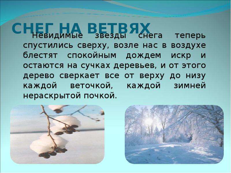 


СНЕГ НА ВЕТВЯХ

      Невидимые звезды снега теперь спустились сверху, возле нас в воздухе блестят спокойным дождем искр и остаются на сучках деревьев, и от этого дерево сверкает все от верху до низу каждой веточкой, каждой зимней нераскрытой почкой.
