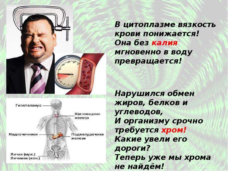 Презентация металлы в организме человека