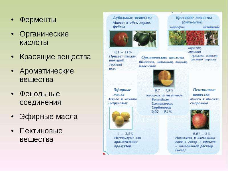 Фруктовые и овощные ферменты