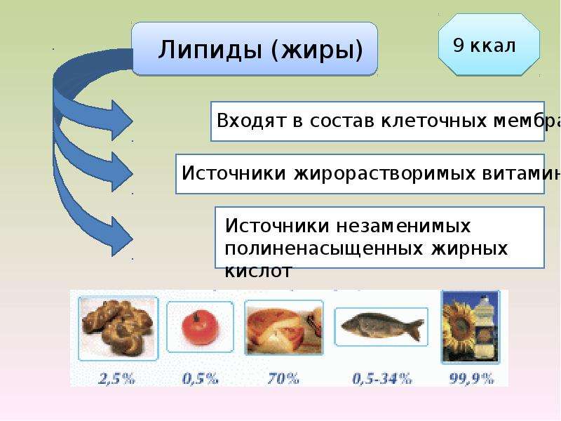 Абсолютно содержаться. Жиры липиды. Источники липидов. Основные пищевые источники липидов. Липиды в питании.