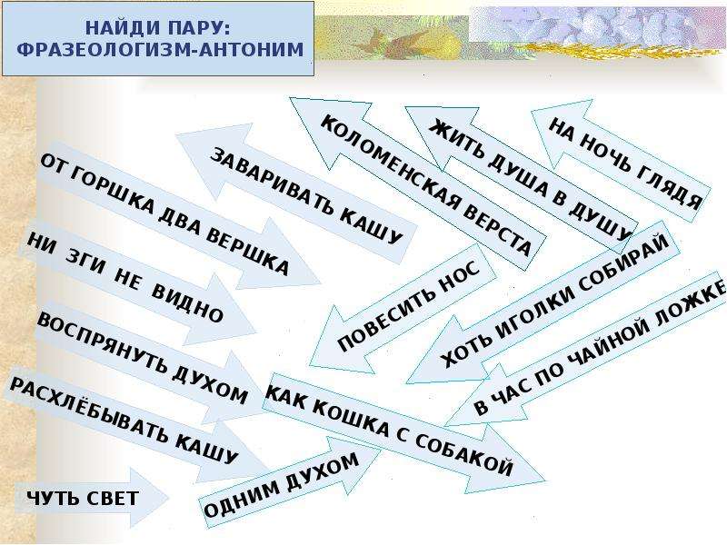 Найдите пару антонимов. Фразеологизмы антонимы. Фразеологизмы антонимы примеры. Фразеологизмы синонимы и антонимы. Найди пару фразеологизм антоним.