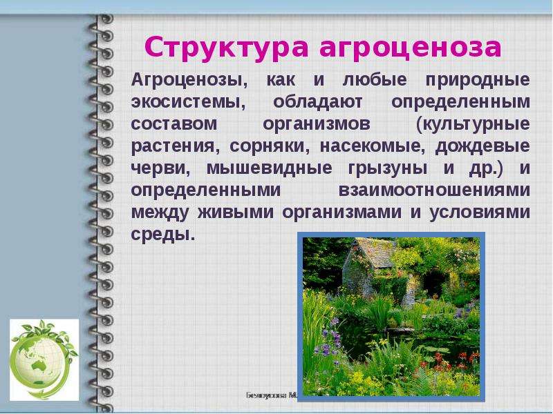 Агроценоз. Агроценоз презентация. Структура агроценоза. Структура биогеоценоза и агроценоза. Состав агроценоза.