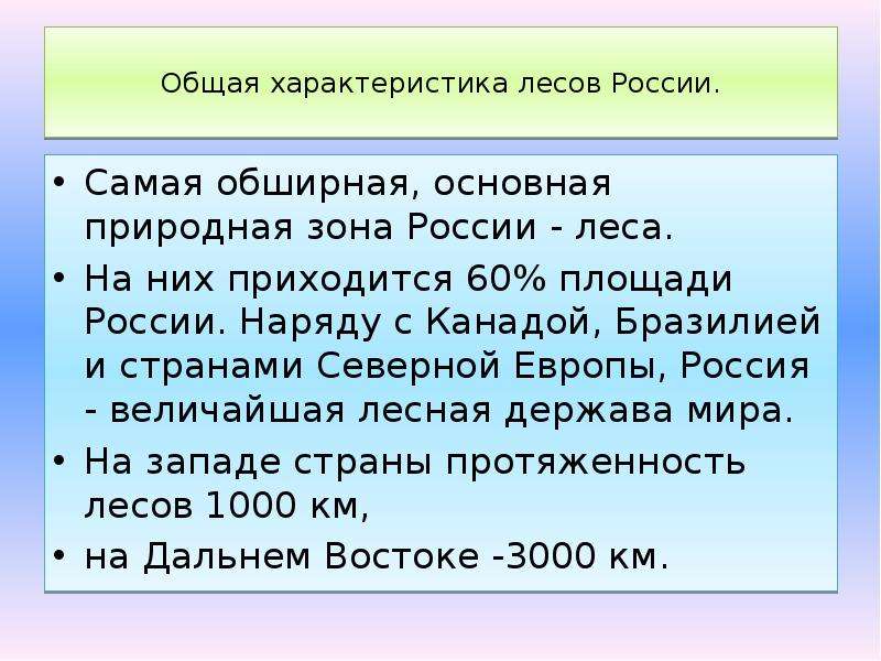 Общая характеристика леса