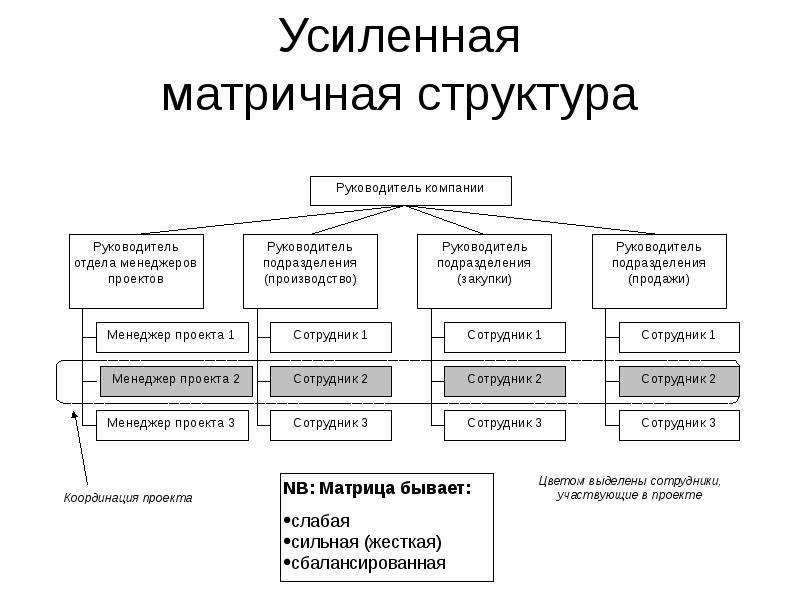 Проект который имеет лишь одного постоянного сотрудника управляющего проектом является матричной