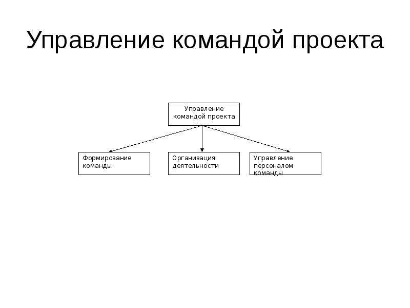 Управление командой проекта кратко