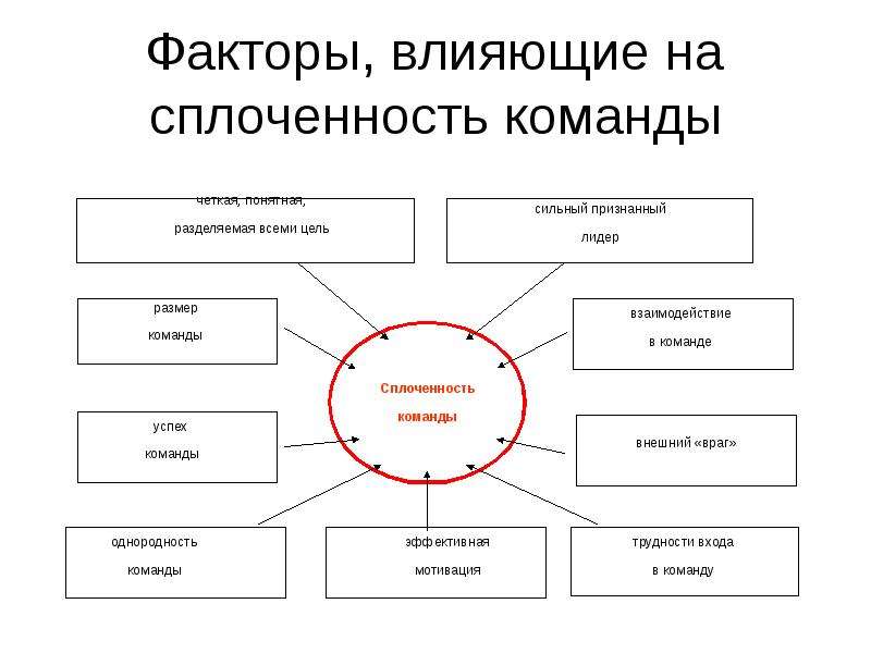 Команда проекта и ключевые человеческие факторы в управлении проектом