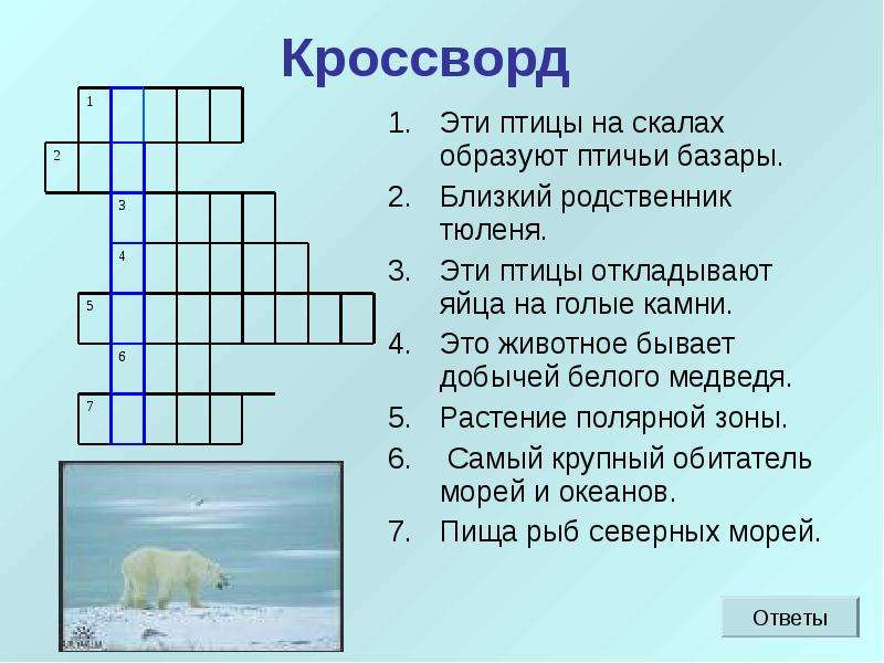 Мир кроссвордов ответы. Кроссворд про животных. Животные севера кроссворд для детей. Кроссворд на тему животные. Кроссворд по животным.