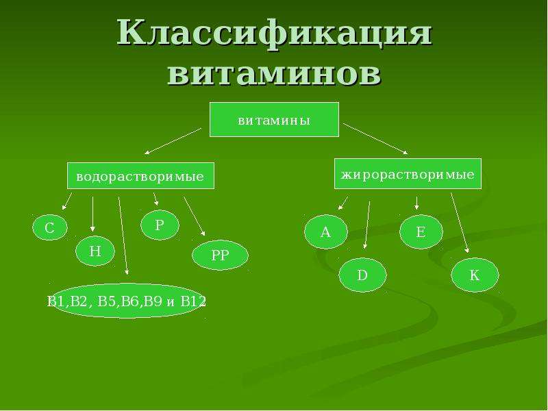 Классификация витаминов картинка