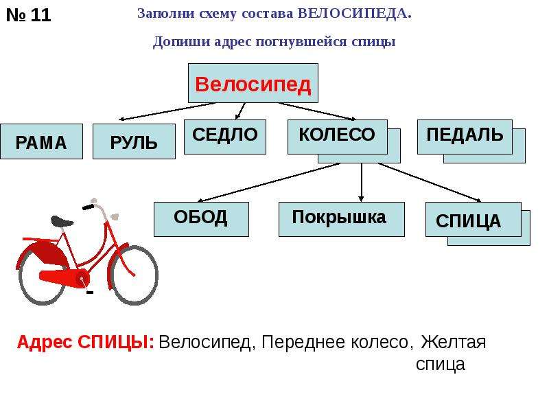 Велосипед найти слова. Схема состава велосипеда Информатика. Заполни схему состава велосипеда. Состав велосипеда схема. Схема состава объекта велосипед.