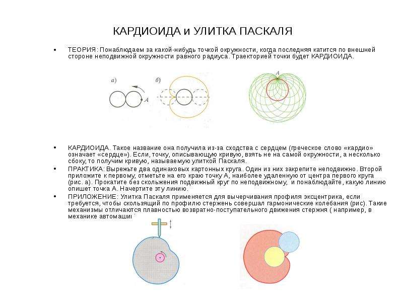 Улитка паскаля рисунок