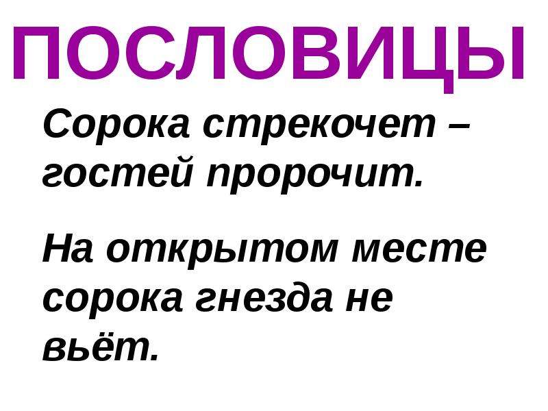 Загадка вертится. Поговорка про сороку. Пословицы про сороку. Пословицы и поговорки о Сороке. Пословицы про сорок.