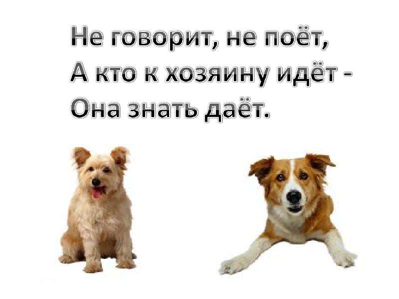 Кто хозяин шел. Не говорит не поет а кто к хозяину идет она знать дает. Собой не птица петь не поёт а кто к хозяину идёт она знать даёт. Не говорит не поет а кто к хозяину. Не говорит не поет а кто к хозяину идет она знать дает ответ на загадку.