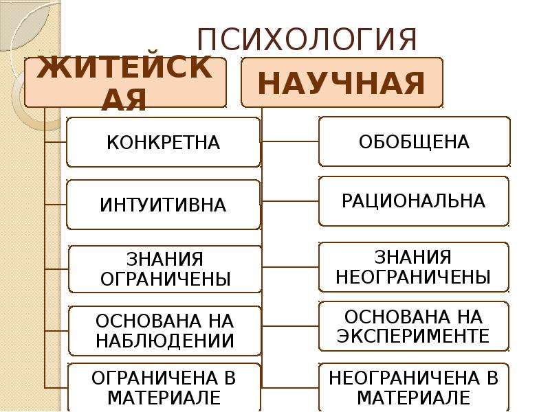 Лекции по психологии. Психология лекция 1.