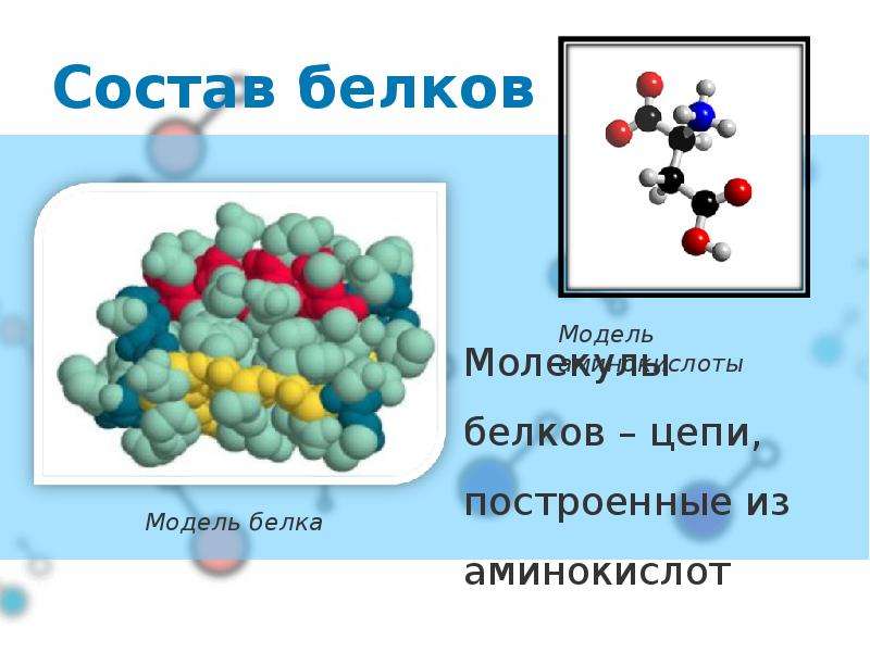 Аминокислоты проект по химии