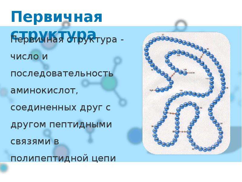 Презентация про белки по химии