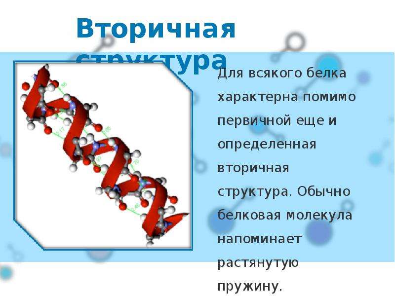 Белки презентация по химии 10 класс профильный уровень