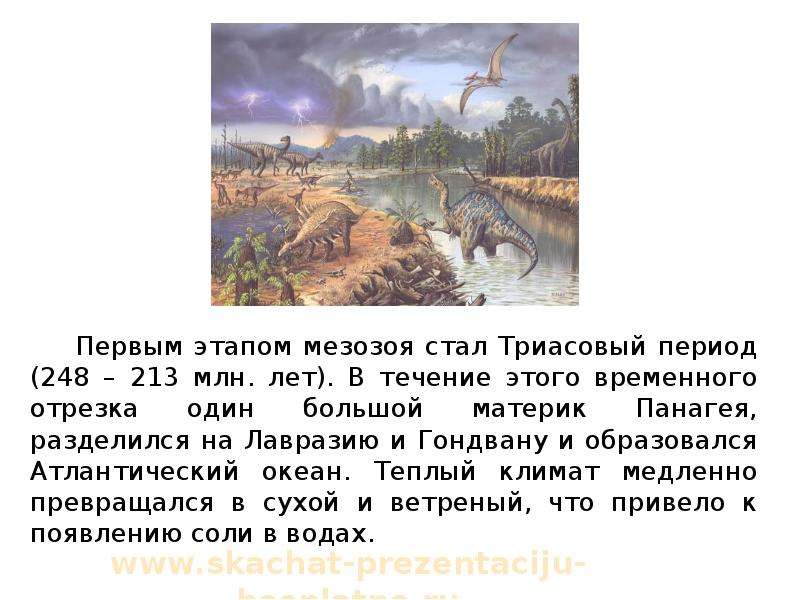 Первый период мезозоя. Триасовый период (248 – 200 млн. Лет назад). Мезозой события. Триасовый период основные события. Триасовый период даты.