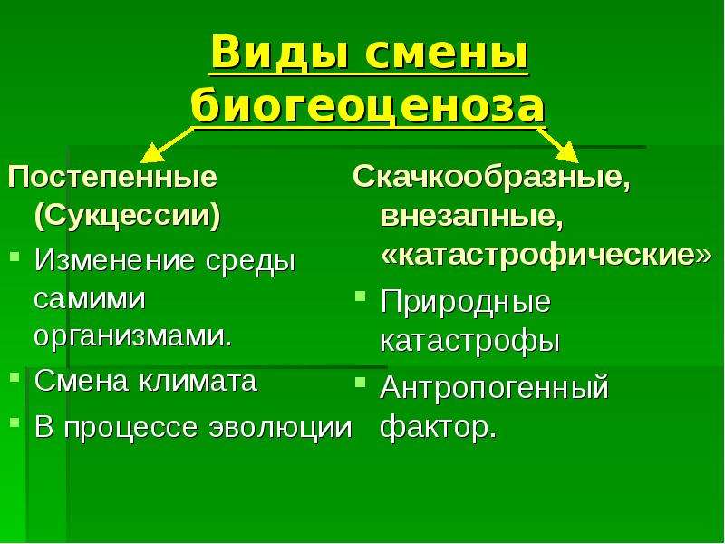 Сукцессия биология 9 класс презентация