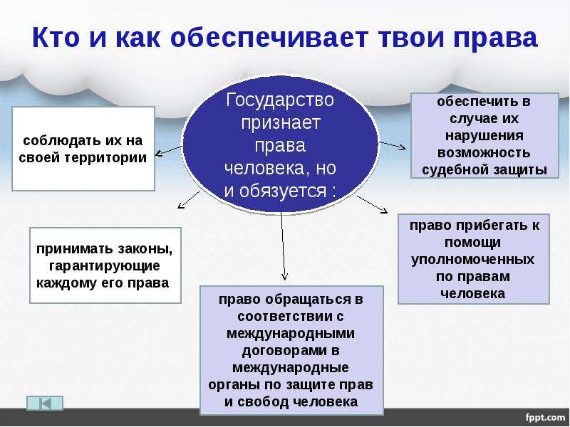 Права и обязанности фото