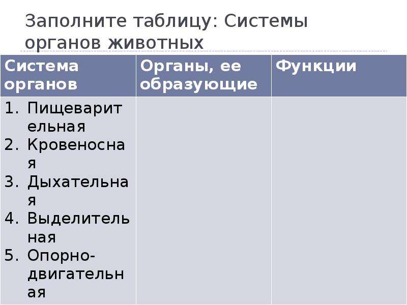 Используя рисунок 18 заполните в тетради таблицу основные системы органов многоклеточных животных