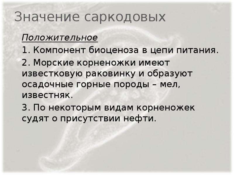 Значение представителей. Значение саркодовых в природе и жизни человека. Роль в природе саркодовых. Значение саркодовых в природе. Класс Саркодовые значение.