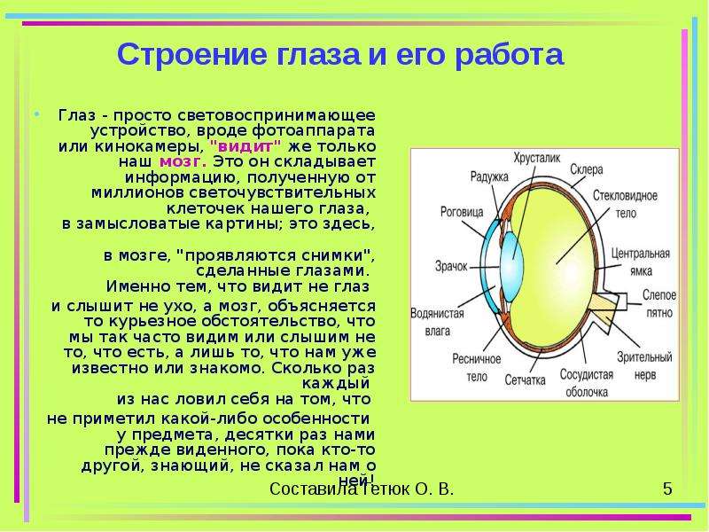 Работа глаза. Строение глаза. Части глаза строение. Глаз и его строение. Внутреннее строение глаза.