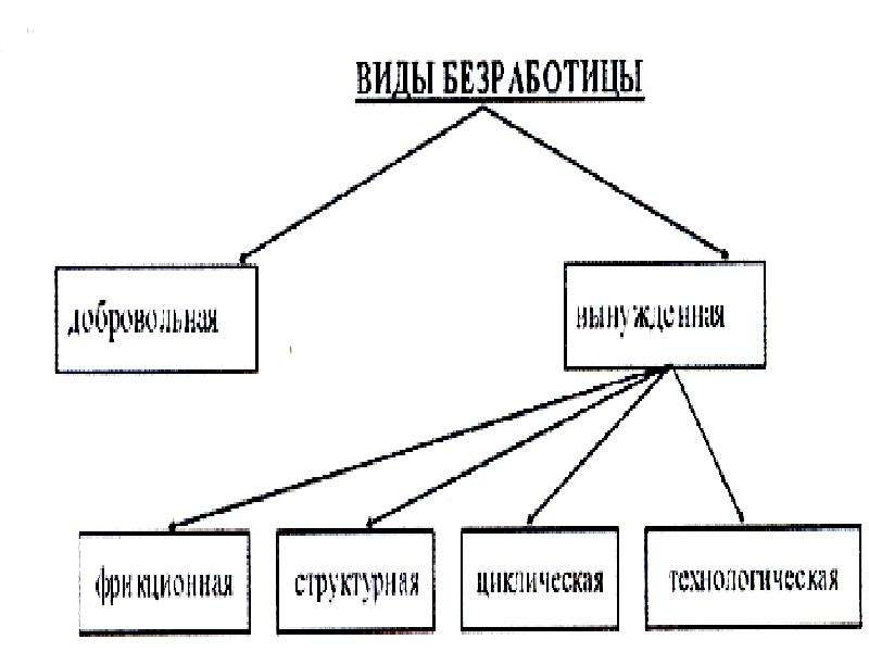 Виды безработицы схема